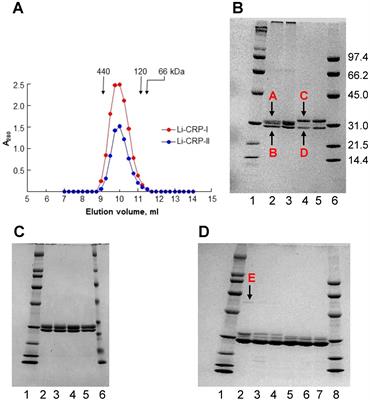 An evolutionarily conserved function of C-reactive protein is to prevent the formation of amyloid fibrils